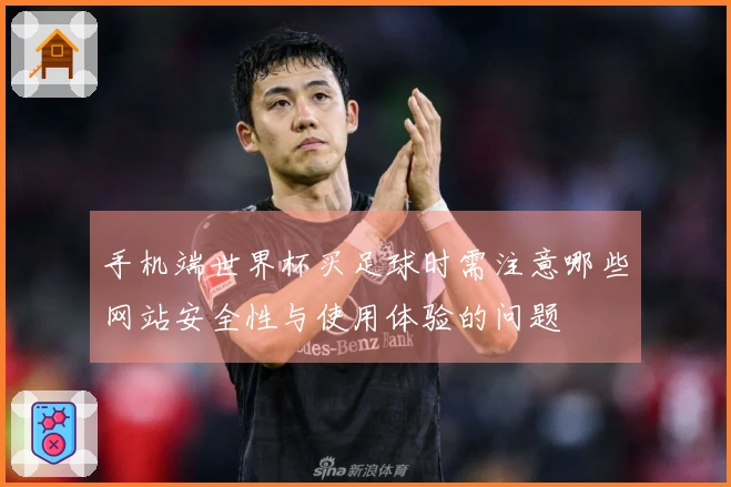 手机端世界杯买足球时需注意哪些网站安全性与使用体验的问题