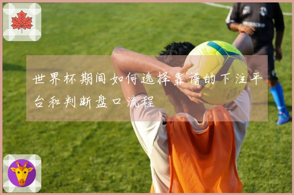 世界杯期间如何选择靠谱的下注平台和判断盘口流程