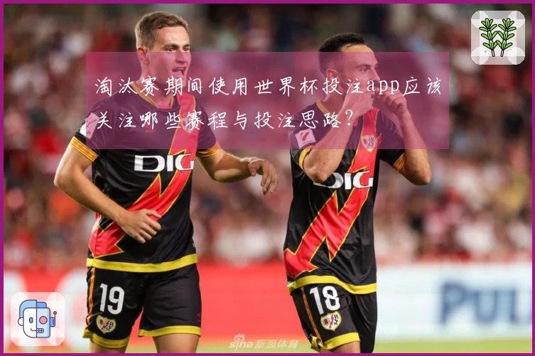 淘汰赛期间使用世界杯投注app应该关注哪些赛程与投注思路？