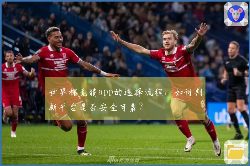 世界杯竞猜app的选择流程，如何判断平台是否安全可靠？