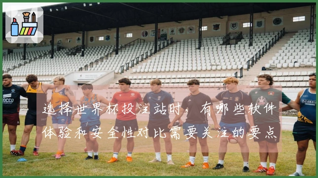 选择世界杯投注站时，有哪些软件体验和安全性对比需要关注的要点？