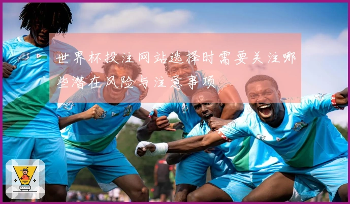 世界杯投注网站选择时需要关注哪些潜在风险与注意事项