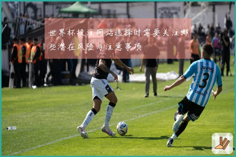 世界杯投注网站选择时需要关注哪些潜在风险与注意事项