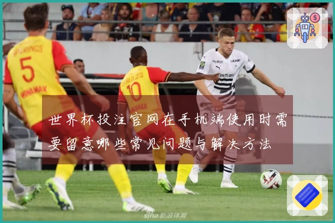 世界杯投注官网在手机端使用时需要留意哪些常见问题与解决方法