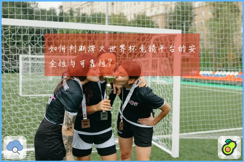 如何判断烽火世界杯竞猜平台的安全性与可靠性？