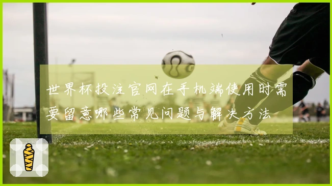 世界杯投注官网在手机端使用时需要留意哪些常见问题与解决方法