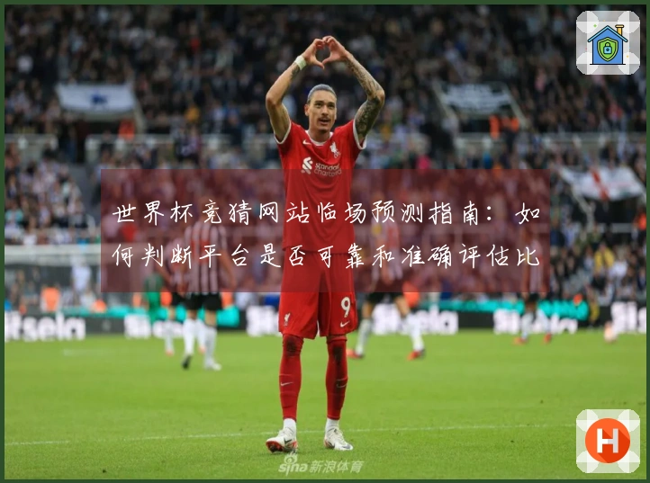世界杯竞猜网站临场预测指南：如何判断平台是否可靠和准确评估比赛走势
