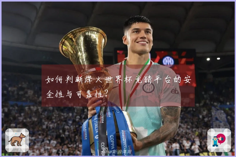 如何判断烽火世界杯竞猜平台的安全性与可靠性？