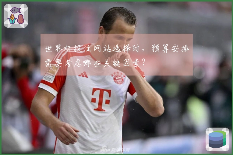 世界杯投注网站选择时，预算安排需要考虑哪些关键因素？