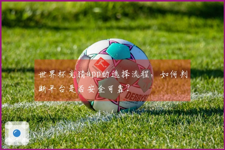 世界杯竞猜app的选择流程，如何判断平台是否安全可靠？